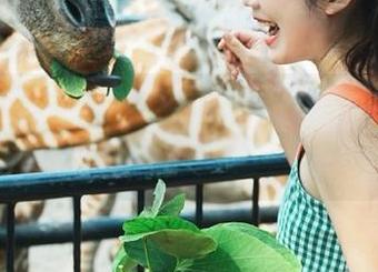 今日吃瓜：来吧，免费入口就是你的新秘密基地！