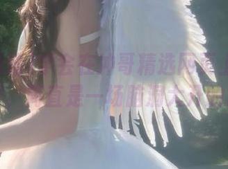 学会在冲哥精选网页上怎么搞定搜索，简直是一场脑洞大开的冒险！