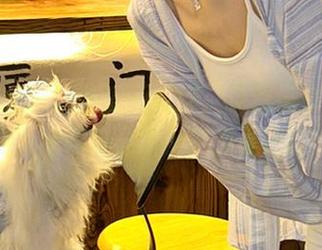 吃瓜不打烊，免费送你每日热点，生活怎么能少了点小惊喜？