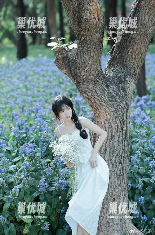 吃瓜大本营：你想要的资源都在这儿！