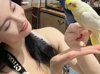 韩国黑料狂潮，黑料不打烊官网带你追瓜见闻